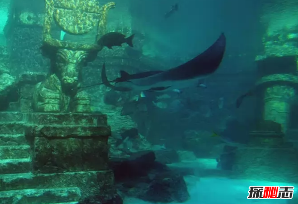 不敢公開(kāi)?盤(pán)點(diǎn)世界上十大最神秘的考古發(fā)現