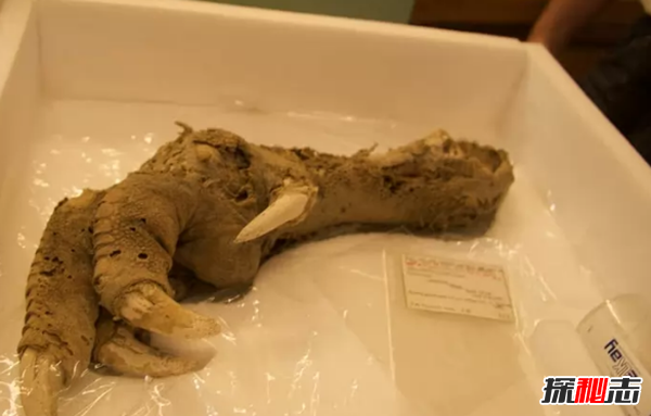 不敢公開(kāi)?盤(pán)點(diǎn)世界上十大最神秘的考古發(fā)現