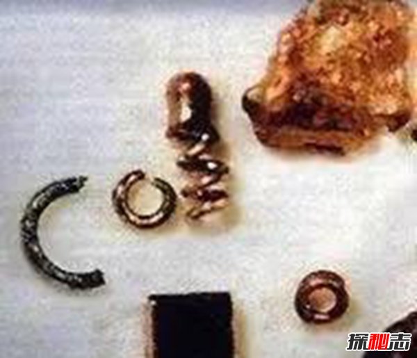 達爾文晚年推翻進(jìn)化論,進(jìn)化論存在最大的缺陷(被證實(shí))