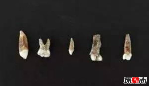 達爾文晚年推翻進(jìn)化論,進(jìn)化論存在最大的缺陷(被證實(shí))