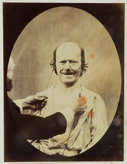 達爾文最后的恐怖實(shí)驗：電擊參與者,獲得