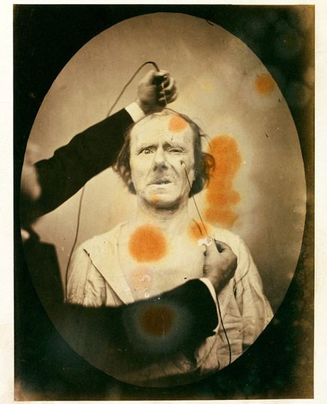 達爾文最后的恐怖實(shí)驗：電擊參與者,獲得