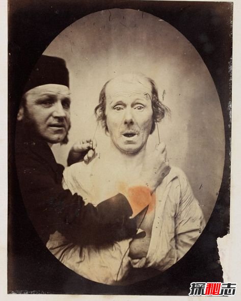 達爾文最后的恐怖實(shí)驗：電擊參與者,獲得