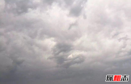 飛機上拍到真龍，真龍現身征兆著(zhù)什么?