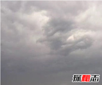 飛機上拍到真龍，真龍現身征兆著(zhù)什么?