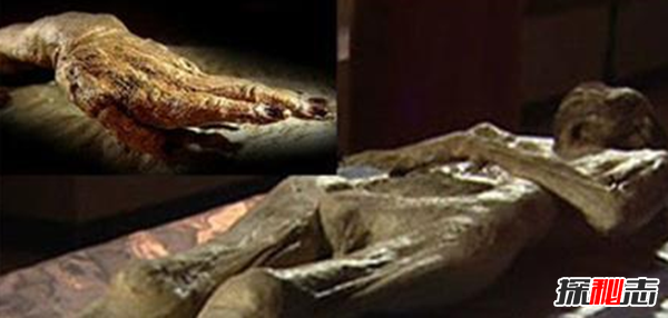 盜墓賊迷戀千年古尸,同居尸奸后中毒死亡