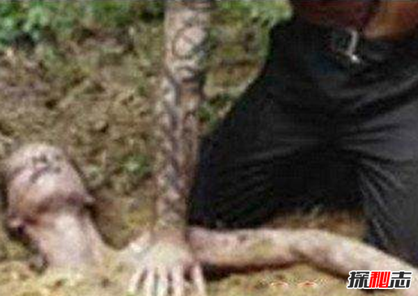 盜墓賊迷戀千年古尸,同居尸奸后中毒死亡