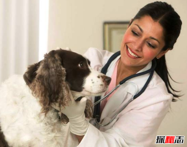 干什么工作比較好?美國十大最賺錢(qián)的職業(yè)