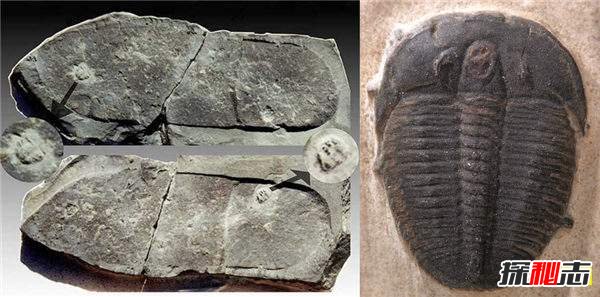 古代超文明真的存在嗎?20億年前就存在核反應堆了