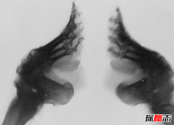 古人裹腳是為什么?三寸金蓮腳的10個(gè)奇怪事實(shí)