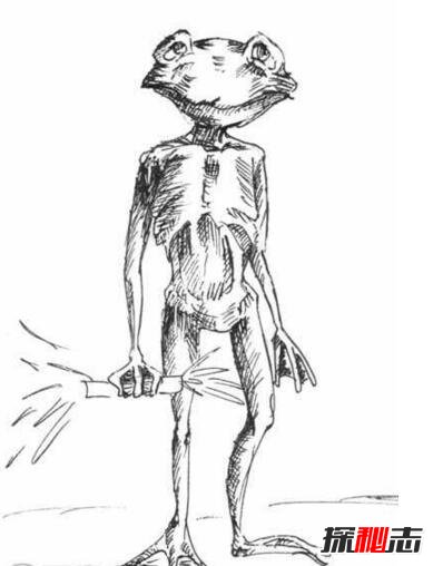 怪異的拉夫蘭青蛙人,人與青蛙交配的結果?