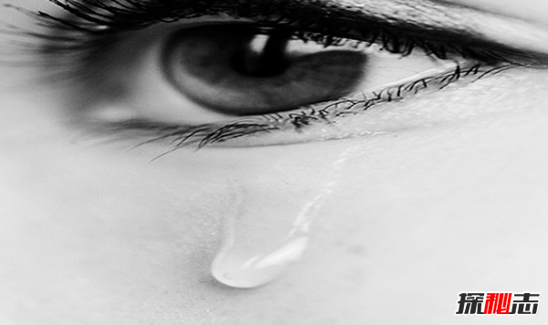關(guān)于眼睛的12個(gè)瘋狂事實(shí),每只眼睛都含有1.07億個(gè)細胞