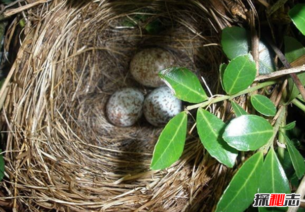 關(guān)于友誼的名言有哪些?15友誼名言名句大全