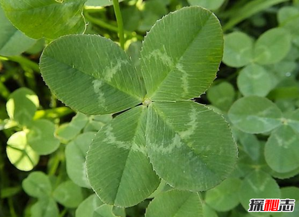 關(guān)于友誼的名言有哪些?15友誼名言名句大全