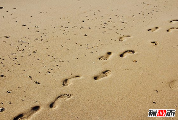 關(guān)于友誼的名言有哪些?15友誼名言名句大全