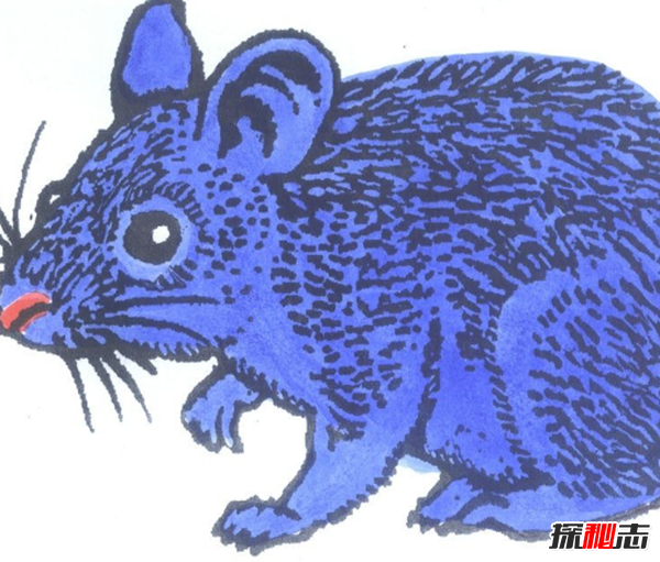 記住!鬼最怕的七種人,鬼最怕的七種生肖(孕婦頭頂金光護體)