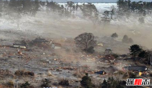 海嘯的恐怖性有哪些?海嘯給人們帶來(lái)的十大危害