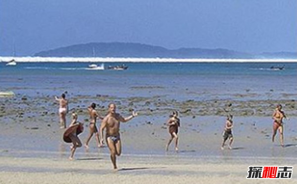 海嘯的恐怖性有哪些?海嘯給人們帶來(lái)的十大危害