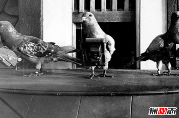 駭人聽(tīng)聞!全世界十大恐怖武器,還好一大半都被取消