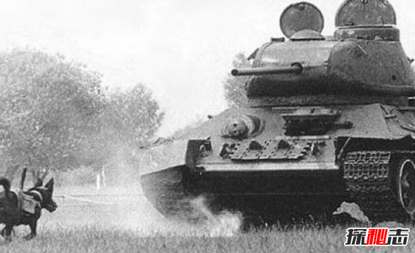 駭人聽(tīng)聞!全世界十大恐怖武器,還好一大半都被取消