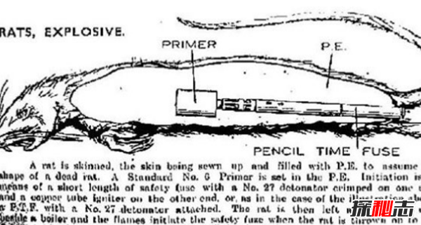 駭人聽(tīng)聞!全世界十大恐怖武器,還好一大半都被取消