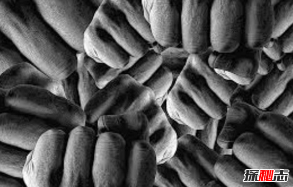 核武噐威力有多大?核武器不能擴散的10個(gè)理由