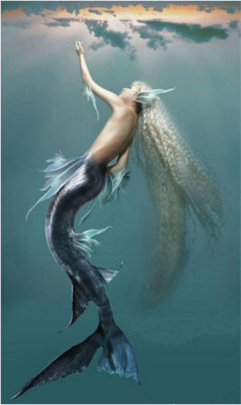 黑鱗鮫人真的存在嗎 揭秘關(guān)于黑鱗鮫人的傳說(shuō)