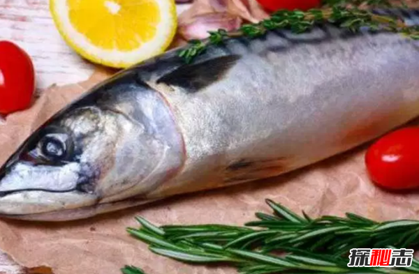 懷孕初期最忌諱吃什么?孕期不能碰的10種食物