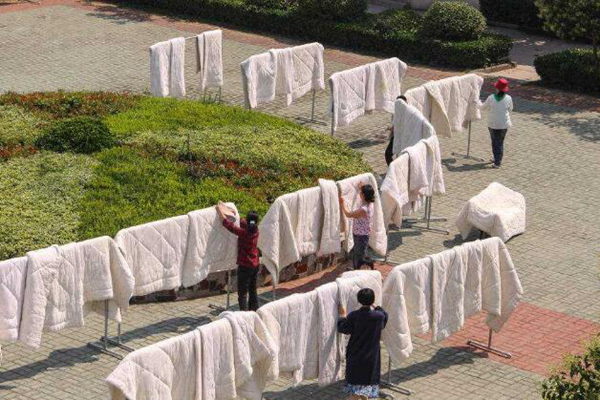 家里有好多虱子怎么辦?應該如何更好處理虱子