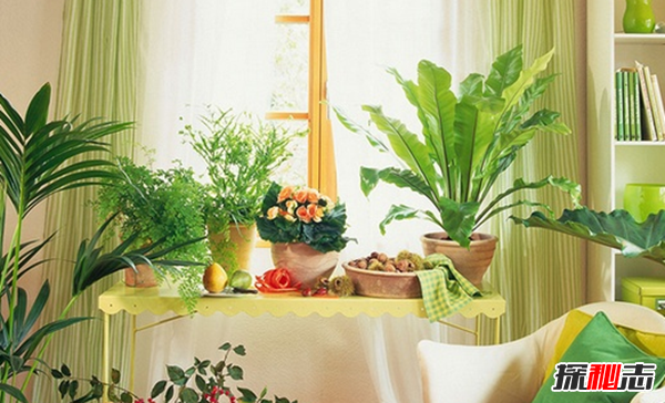 長(cháng)心眼!家里的什么東西招鬼,用過(guò)的紅包請早點(diǎn)扔(破財晦氣)