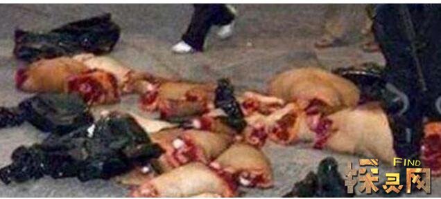 卡林娜·巴杜奇揚