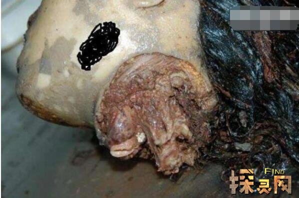 卡林娜·巴杜奇揚