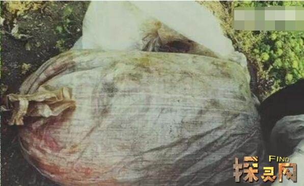 卡林娜·巴杜奇揚