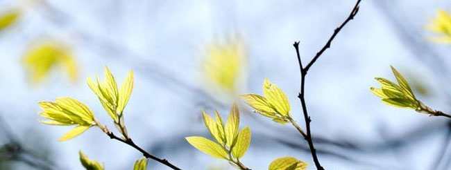 三月的別稱(chēng)和雅稱(chēng)