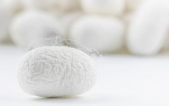 桑蠶絲的洗滌方法是什么